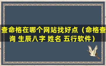 查命格在哪个网站找好点（命格查询 生辰八字 姓名 五行软件）